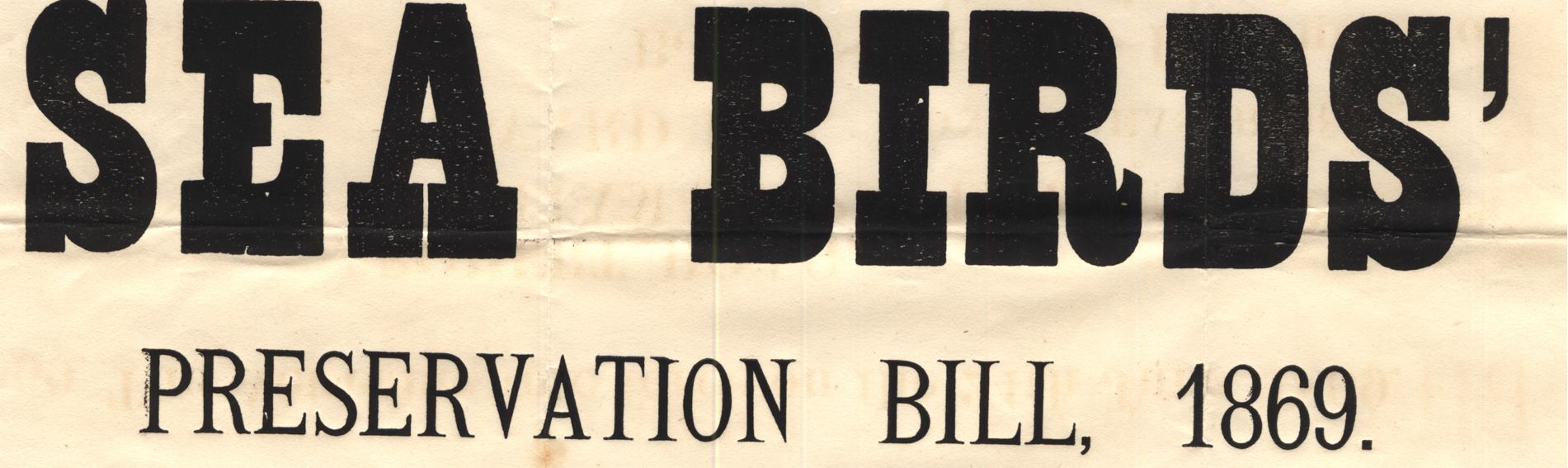 Detail from the Sea Birds' Preservation Bill, 1869