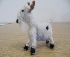 GoatSmall